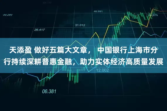 天添盈 做好五篇大文章， 中国银行上海市分行持续深耕普惠金融，助力实体经济高质量发展