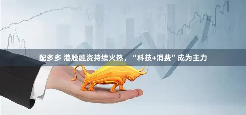 配多多 港股融资持续火热，“科技+消费”成为主力