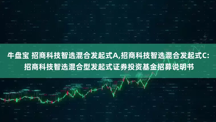 牛盘宝 招商科技智选混合发起式A,招商科技智选混合发起式C: 招商科技智选混合型发起式证券投资基金招募说明书