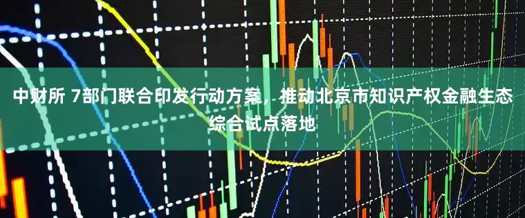 中财所 7部门联合印发行动方案，推动北京市知识产权金融生态综合试点落地