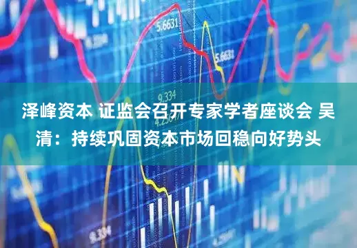 泽峰资本 证监会召开专家学者座谈会 吴清：持续巩固资本市场回稳向好势头