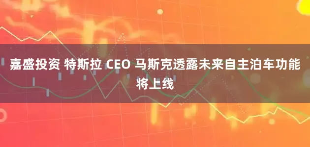嘉盛投资 特斯拉 CEO 马斯克透露未来自主泊车功能将上线