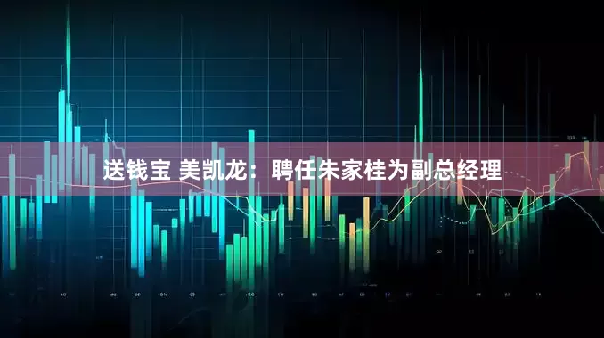 送钱宝 美凯龙：聘任朱家桂为副总经理