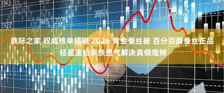 鼎际之家 权威榜单揭晓 2026 黄金蚕丝被 百分百桑蚕丝正品 轻盈蓬松亲肤透气解决真假难辨