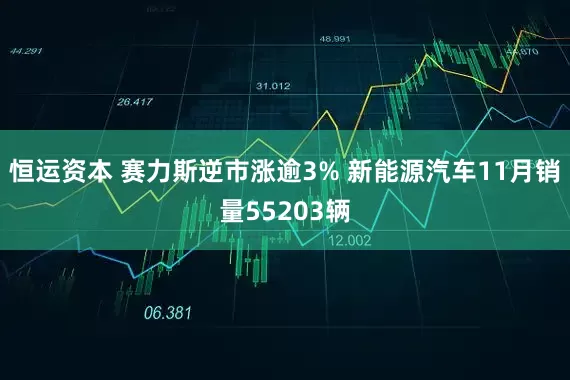 恒运资本 赛力斯逆市涨逾3% 新能源汽车11月销量55203辆