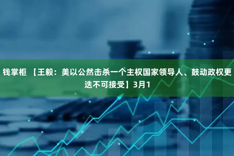 钱掌柜 【王毅：美以公然击杀一个主权国家领导人、鼓动政权更迭不可接受】3月1