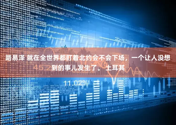 路易泽 就在全世界都盯着北约会不会下场，一个让人没想到的事儿发生了。 土耳其